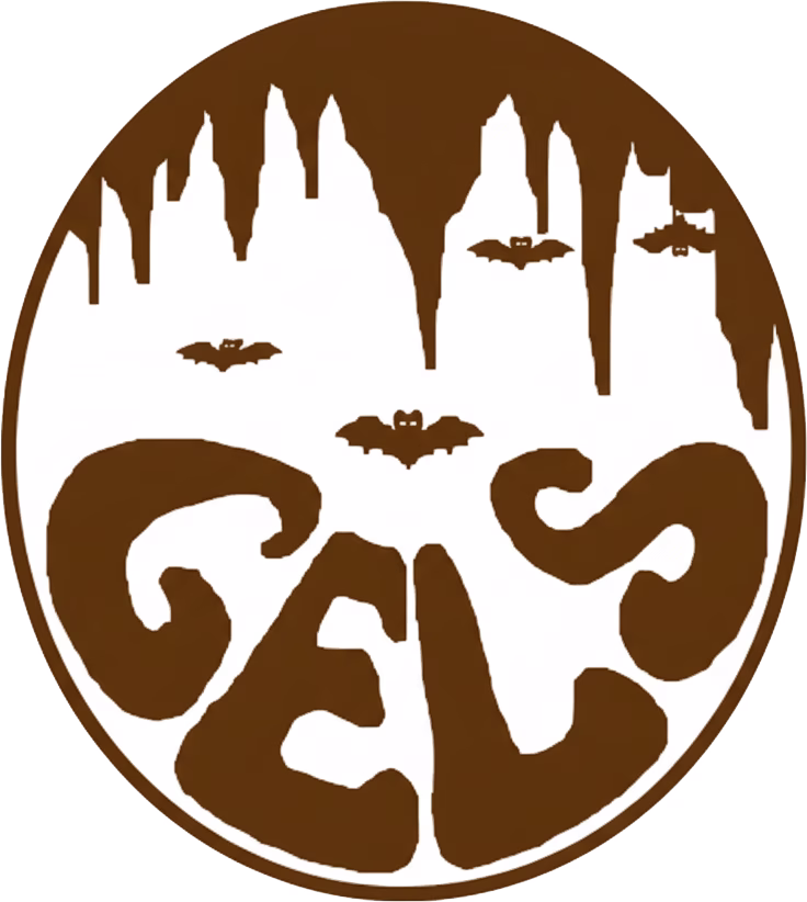 Gels logo