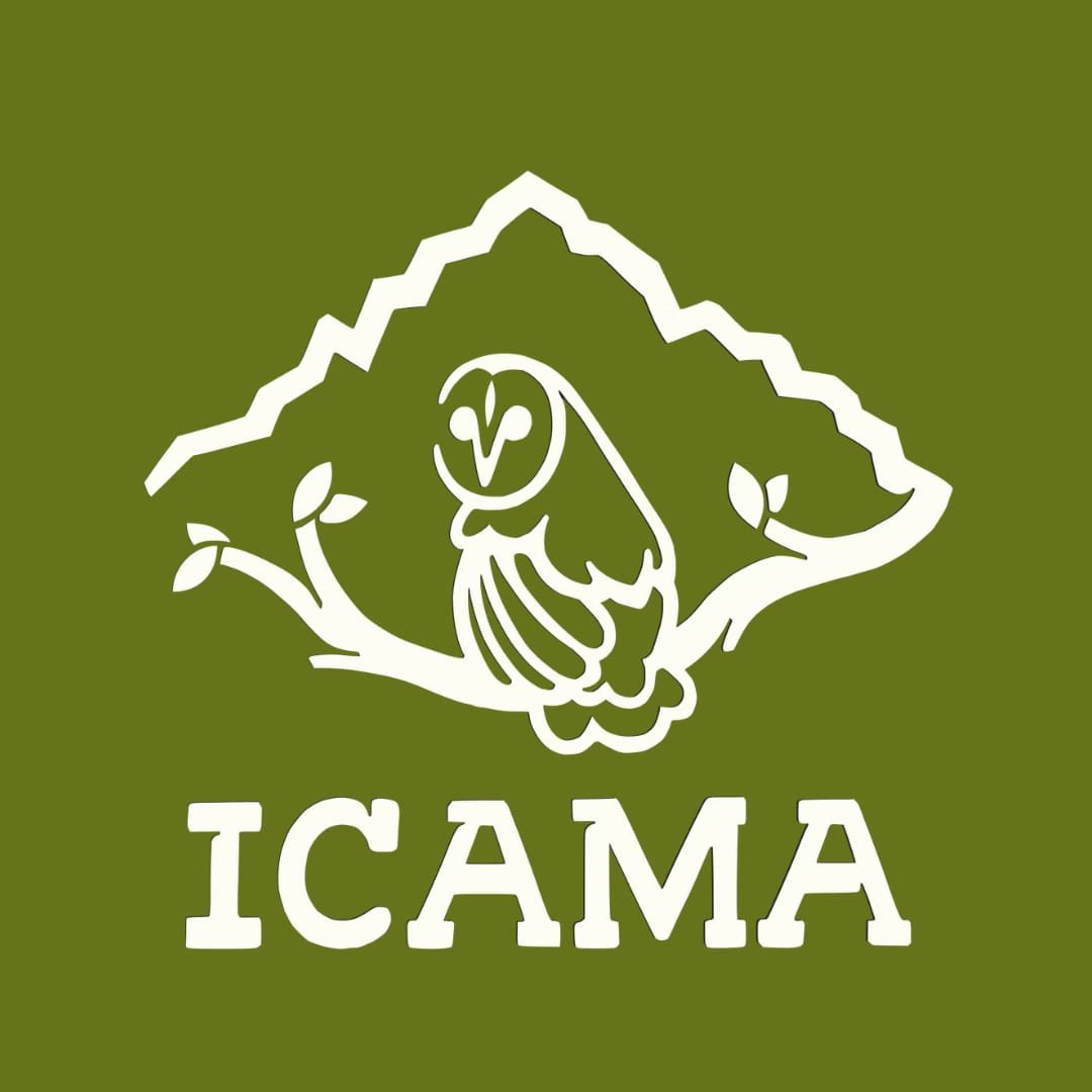 Icama logo